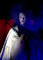 게이샤의 추억 포스터 (Memoirs of a Geisha poster)