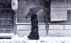 게이샤의 추억 포스터 (Memoirs of a Geisha poster)