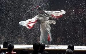 게이샤의 추억 포스터 (Memoirs of a Geisha poster)