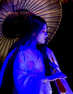 게이샤의 추억 포스터 (Memoirs of a Geisha poster)