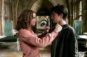 해리 포터와 불의 잔 포스터 (Harry Potter and the Goblet of Fire poster)