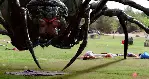 메가 스파이더 포스터 (Big Ass Spider poster)