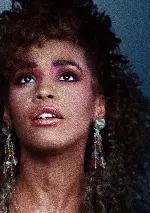 휘트니 포스터 (Whitney poster)