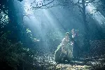 숲속으로 포스터 (Into the Woods poster)