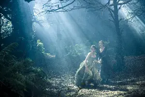 숲속으로 포스터 (Into the Woods poster)