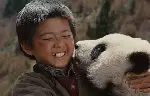 팬더의 집으로 가는 길 포스터 (Touch of the Panda poster)