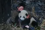 팬더의 집으로 가는 길 포스터 (Touch of the Panda poster)