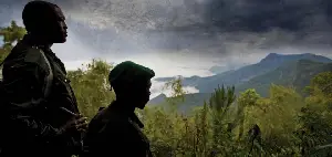 비룽가 포스터 (Virunga poster)