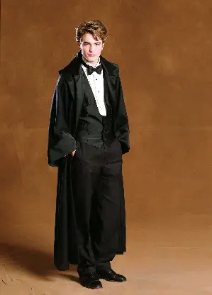 해리 포터와 불의 잔 포스터 (Harry Potter and the Goblet of Fire poster)