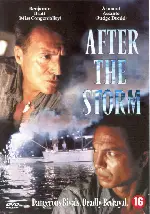 폭풍 탈출  포스터 (After the Storm poster)