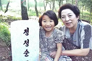 굿바이, 평양 포스터 (Goodbye, Pyongyang poster)