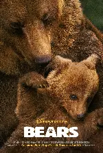 베어스  포스터 (Bears poster)