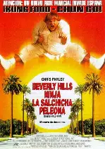 비버리 힐스 닌자 포스터 (Beverly Hills Ninja poster)