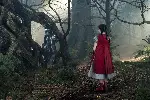 숲속으로 포스터 (Into the Woods poster)