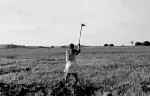 아프리카의 오레스테스를 위한 노트 포스터 (Notes Towards an African Orestes poster)