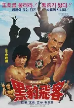 흑표비객 포스터 (Secret Bandit Of Black Leopard poster)