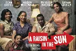 태양의 계절 포스터 (A Raisin In The Sun poster)