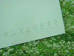 나는 여동생을 사랑한다 포스터 (My Sister, My Love poster)
