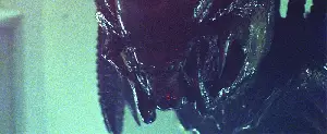 에이리언 VS 프레데터2  포스터 (Aliens Vs. Predator - Requiem poster)