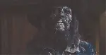 캐리비안의 해적 : 블랙펄의 저주 포스터 (Pirates of the Caribbean: The Curse of the Black Pearl  poster)