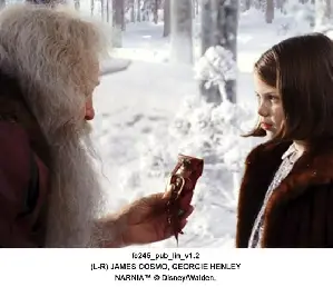 나니아 연대기-사자,마녀 그리고 옷장 포스터 (The Chronicles of Narnia: The Lion, the Witch & the Wardrobe poster)