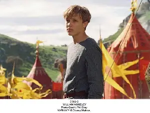 나니아 연대기-사자,마녀 그리고 옷장 포스터 (The Chronicles of Narnia: The Lion, the Witch & the Wardrobe poster)