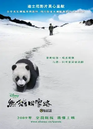 팬더의 집으로 가는 길 포스터 (Touch of the Panda poster)