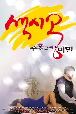 색시공...주홍글씨의 비밀 포스터 ( poster)