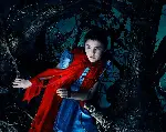 숲속으로 포스터 (Into the Woods poster)