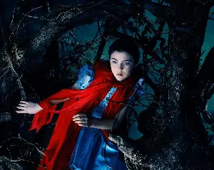 숲속으로 포스터 (Into the Woods poster)