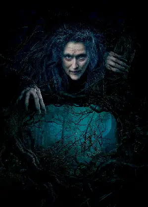 숲속으로 포스터 (Into the Woods poster)