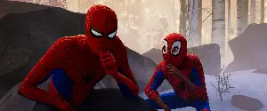 스파이더맨: 뉴 유니버스 포스터 (Spider-Man: Into the Spider-Verse poster)