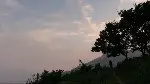 어느 사진가의 기억 포스터 (Memories of a Photographer poster)