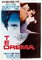테오레마 포스터 (Theorem poster)