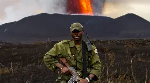 비룽가 포스터 (Virunga poster)
