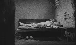 토리노의 말 포스터 (The Turin Horse poster)