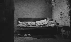 토리노의 말 포스터 (The Turin Horse poster)