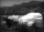 우리 청춘 후회 없다 포스터 (No Regrets for My Youth poster)