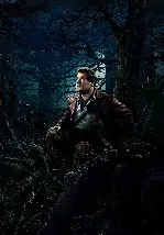 숲속으로 포스터 (Into the Woods poster)