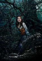 숲속으로 포스터 (Into the Woods poster)