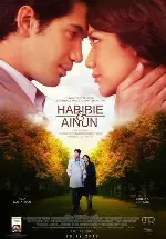 하비비 포스터 (Habibie & Ainun poster)