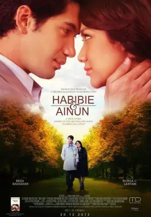 하비비 포스터 (Habibie & Ainun poster)