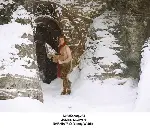 나니아 연대기-사자,마녀 그리고 옷장 포스터 (The Chronicles of Narnia: The Lion, the Witch & the Wardrobe poster)