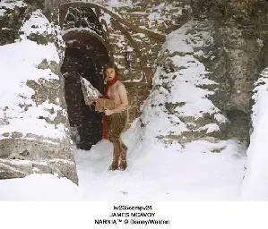 나니아 연대기-사자,마녀 그리고 옷장 포스터 (The Chronicles of Narnia: The Lion, the Witch & the Wardrobe poster)