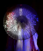 게이샤의 추억 포스터 (Memoirs of a Geisha poster)