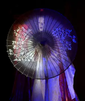 게이샤의 추억 포스터 (Memoirs of a Geisha poster)