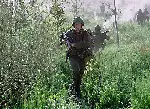 위 워 솔저스 포스터 (We Were Soldiers poster)