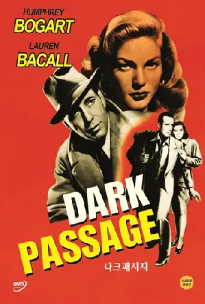 어두운 통로 포스터 (Dark Passage poster)