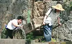 산사나무 아래 포스터 (Under the Hawthorn Tree poster)