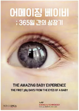 어메이징 베이비: 365일 간의 성장기 포스터 (The Amazing Baby Experience poster)